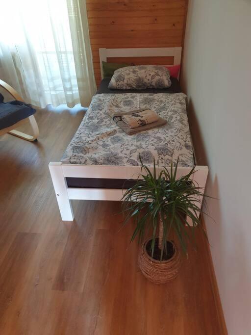Room Sodja Bohinj Eksteriør bilde